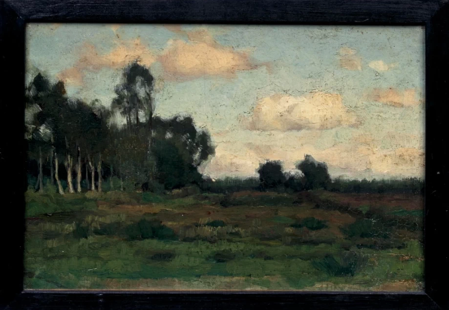 Vista della brughiera vicino a Rolde - Centraal Museum Utrecht